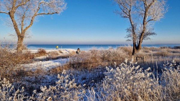 Winterstrand mit Raureif