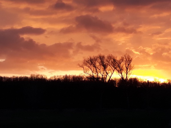 Abendrot über den Salzwiesen